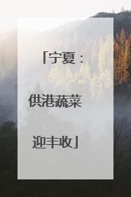 宁夏：供港蔬菜迎丰收