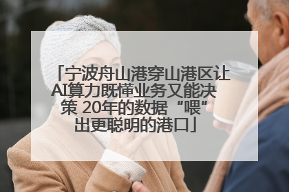 宁波舟山港穿山港区让AI算力既懂业务又能决策 20年的数据“喂”出更聪明的港口