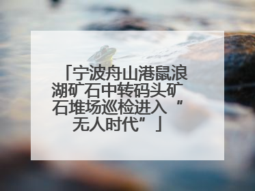 宁波舟山港鼠浪湖矿石中转码头矿石堆场巡检进入“无人时代”