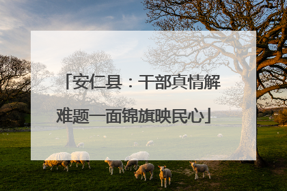 安仁县：干部真情解难题一面锦旗映民心