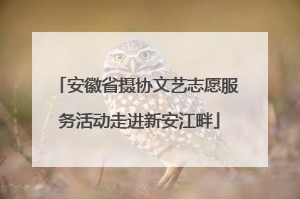 安徽省摄协文艺志愿服务活动走进新安江畔