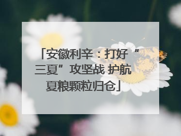 安徽利辛：打好“三夏”攻坚战 护航夏粮颗粒归仓
