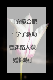 安徽合肥：学子救助昏迷路人获赠锦旗
