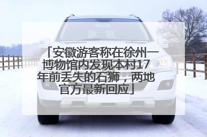 安徽游客称在徐州一博物馆内发现本村17年前丢失的石狮，两地官方最新回应