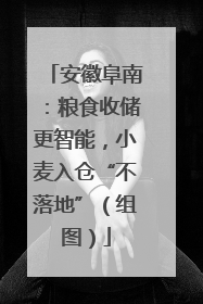 安徽阜南：粮食收储更智能，小麦入仓“不落地”（组图）