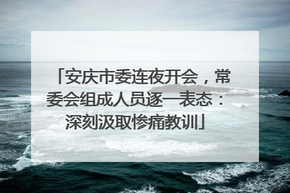 安庆市委连夜开会，常委会组成人员逐一表态：深刻汲取惨痛教训