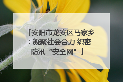 安阳市龙安区马家乡：凝聚社会合力 织密防汛“安全网”