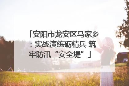安阳市龙安区马家乡：实战演练砺精兵 筑牢防汛“安全堤”