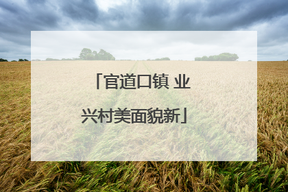 官道口镇 业兴村美面貌新