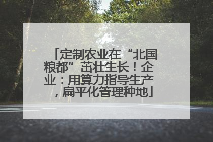 定制农业在“北国粮都”茁壮生长！企业：用算力指导生产，扁平化管理种地