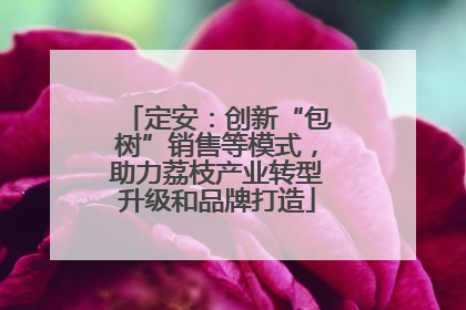 定安：创新“包树”销售等模式，助力荔枝产业转型升级和品牌打造