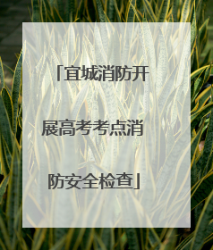 宜城消防开展高考考点消防安全检查