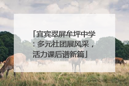 宜宾翠屏牟坪中学：多元社团展风采，活力课后谱新篇