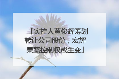 实控人黄俊辉筹划转让公司股份，宏辉果蔬控制权或生变