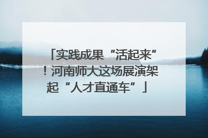 实践成果“活起来”！河南师大这场展演架起“人才直通车”