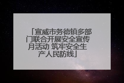 宣威市务德镇多部门联合开展安全宣传月活动 筑牢安全生产人民防线