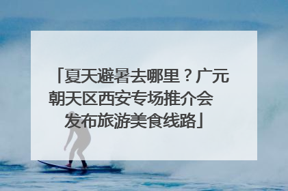 夏天避暑去哪里？广元朝天区西安专场推介会 发布旅游美食线路
