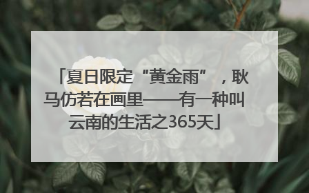 夏日限定“黄金雨”，耿马仿若在画里——有一种叫云南的生活之365天