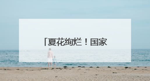 夏花绚烂！国家植物园萱草睡莲等进入盛花期
