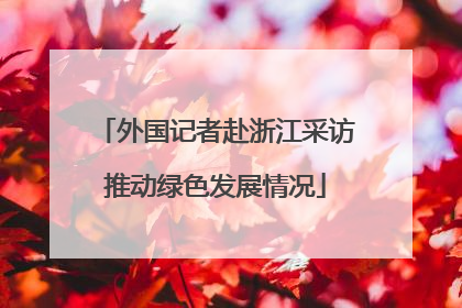 外国记者赴浙江采访推动绿色发展情况