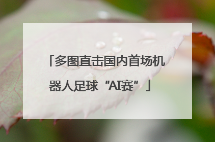 多图直击国内首场机器人足球“AI赛”