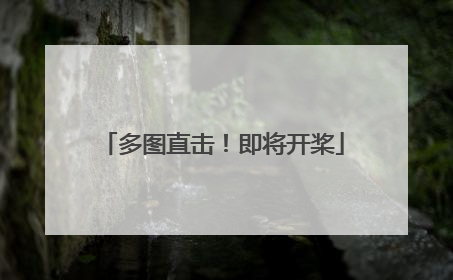 多图直击！即将开桨