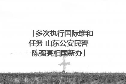 多次执行国际维和任务 山东公安民警陈强亮相国新办