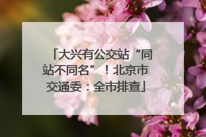 大兴有公交站“同站不同名”！北京市交通委：全市排查