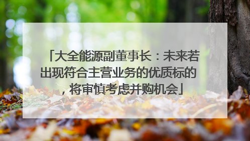 大全能源副董事长：未来若出现符合主营业务的优质标的，将审慎考虑并购机会