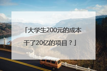 大学生200元的成本干了20亿的项目？