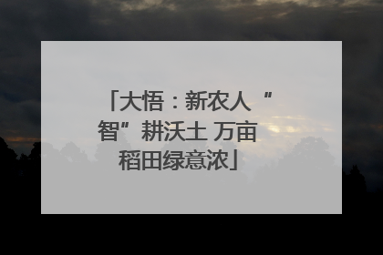 大悟：新农人“智”耕沃土 万亩稻田绿意浓