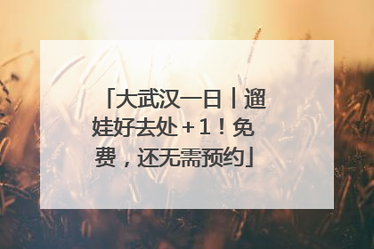 大武汉一日︱遛娃好去处＋1！免费，还无需预约