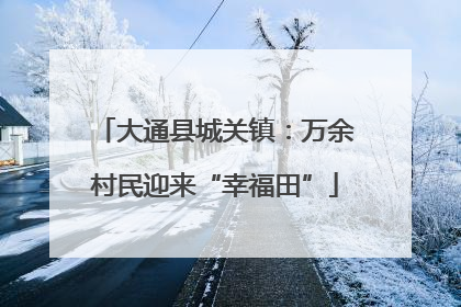 大通县城关镇：万余村民迎来“幸福田”