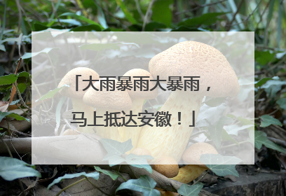 大雨暴雨大暴雨，马上抵达安徽！