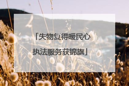 失物复得暖民心 执法服务获锦旗