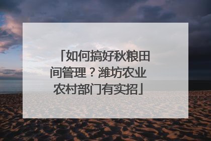 如何搞好秋粮田间管理？潍坊农业农村部门有实招