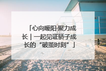 心向暖阳·聚力成长｜一起见证骄子成长的“破茧时刻”