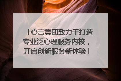 心言集团致力于打造专业泛心理服务内核，开启创新服务新体验