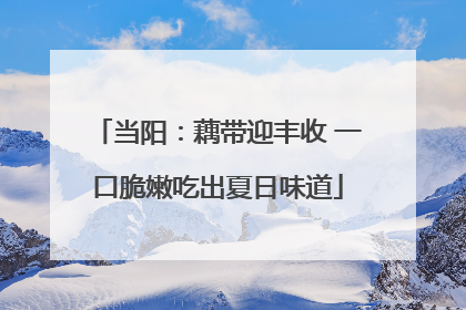 当阳：藕带迎丰收 一口脆嫩吃出夏日味道