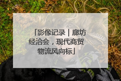 影像记录｜廊坊经洽会，现代商贸物流风向标