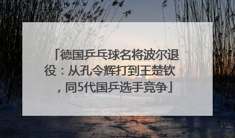 德国乒乓球名将波尔退役：从孔令辉打到王楚钦，同5代国乒选手竞争