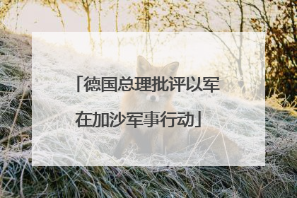 德国总理批评以军在加沙军事行动