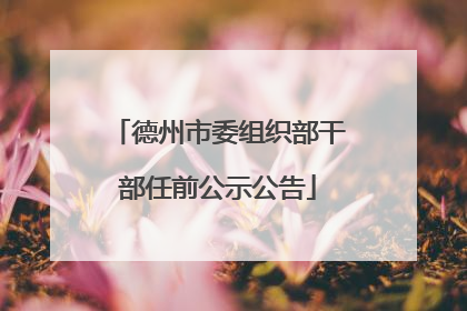 德州市委组织部干部任前公示公告