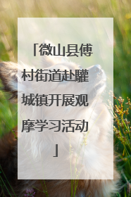 微山县傅村街道赴驩城镇开展观摩学习活动