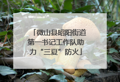 微山县昭阳街道第一书记工作队助力“三夏”防火