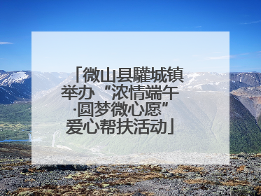 微山县驩城镇举办“浓情端午·圆梦微心愿”爱心帮扶活动