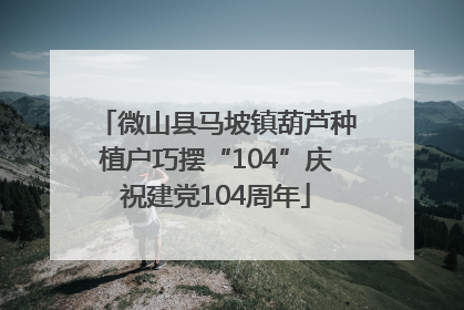 微山县马坡镇葫芦种植户巧摆“104”庆祝建党104周年