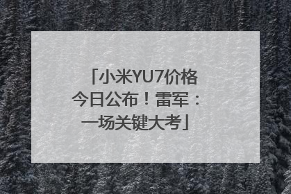 小米YU7价格今日公布！雷军：一场关键大考