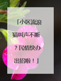 小区流浪猫叫声不断？民情快办出招啦！