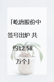 屹唐股份中签号出炉 共约12.58万个